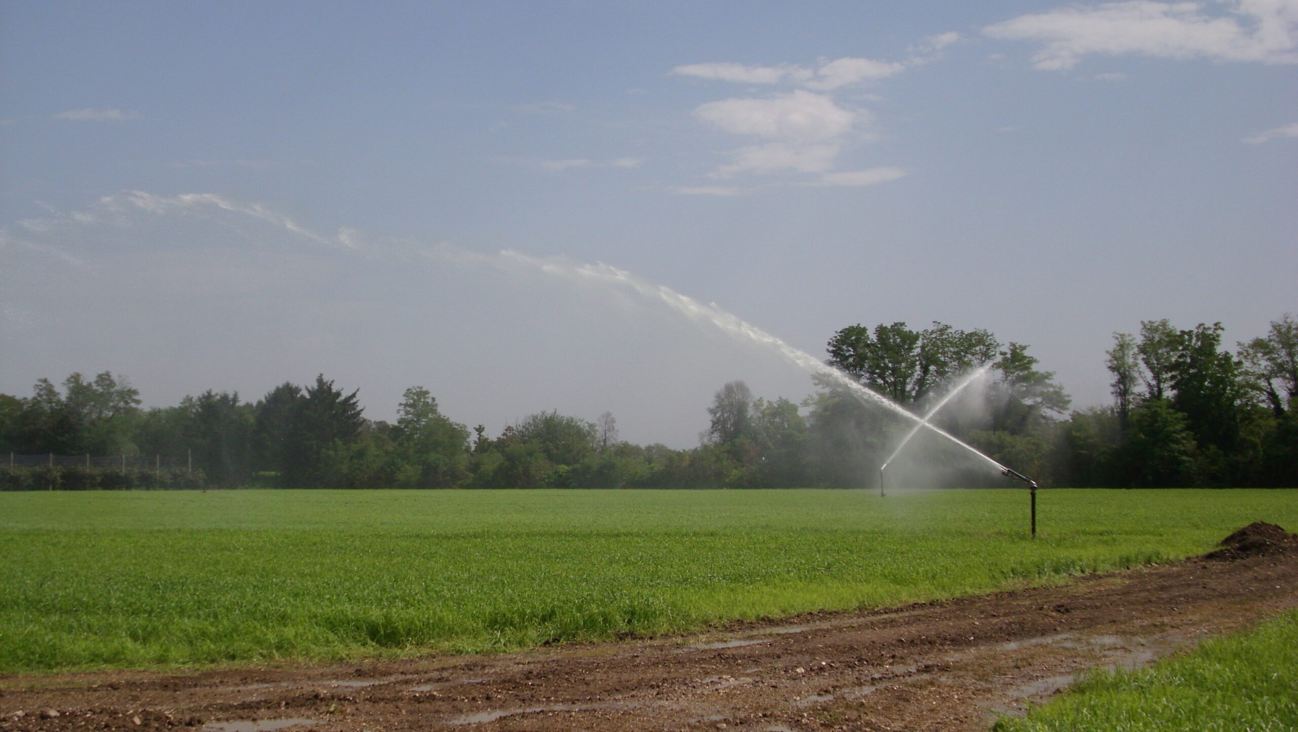 Irrigazione