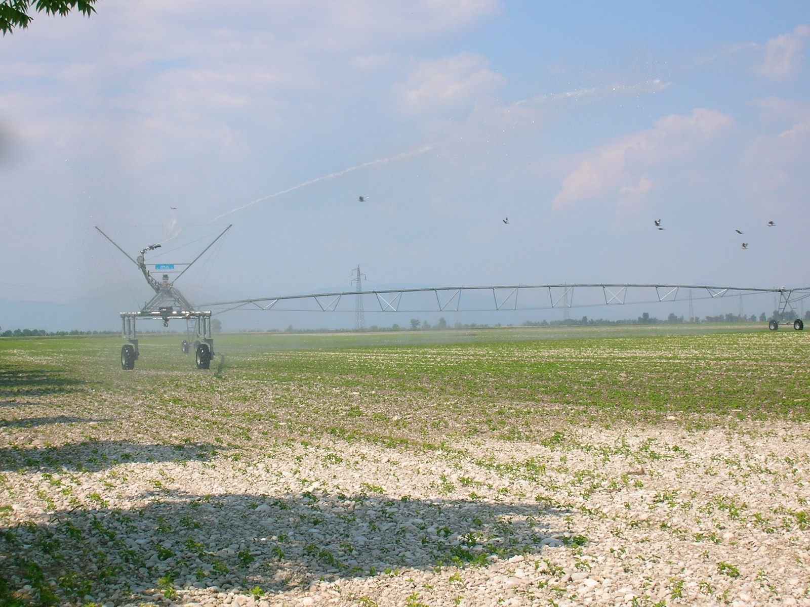 Irrigazione